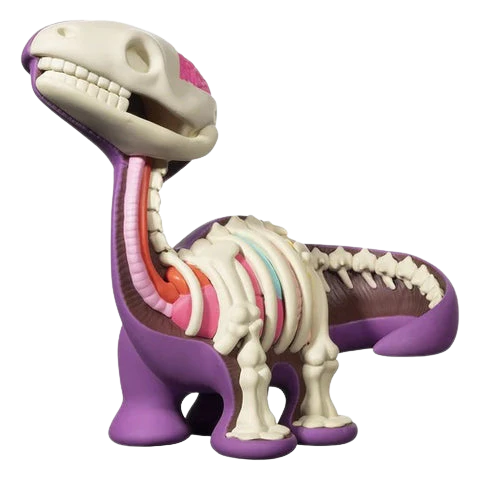 Dissected Dino 6”